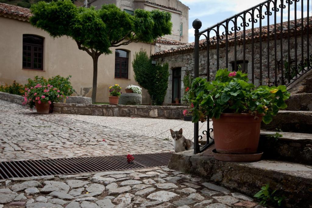 Il Vecchio Frantoio Vakantieboerderij